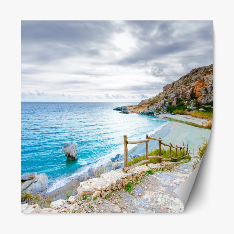 Repositionierbarer Aufkleber verspieltes pfotenmuster – Wallnifity®