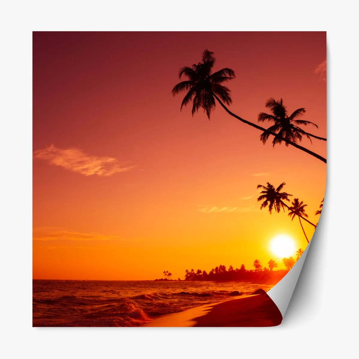 Repositionierbarer Aufkleber tropischer sonnenuntergang am strand – Wallnifity®