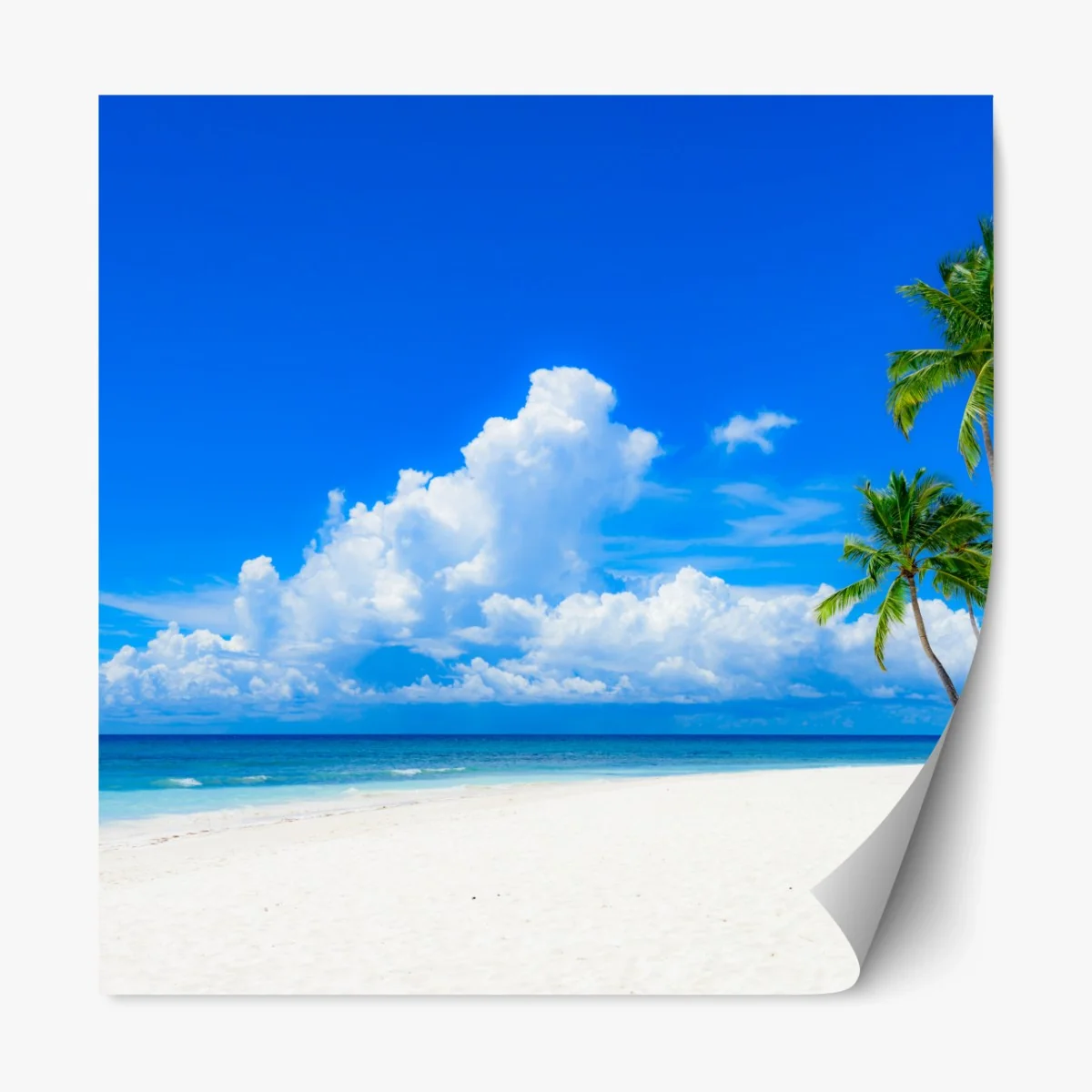 Repositionierbarer Aufkleber tropischer palmenstrand unter blauem himmel – Wallnifity® Repositionierbarer Aufkleber tropischer palmenstrand unter blauem himmel – Wallnifity®