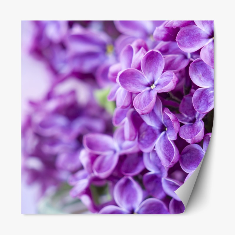 Repositionierbarer Aufkleber zartes beige botanisches muster – Wallnifity®