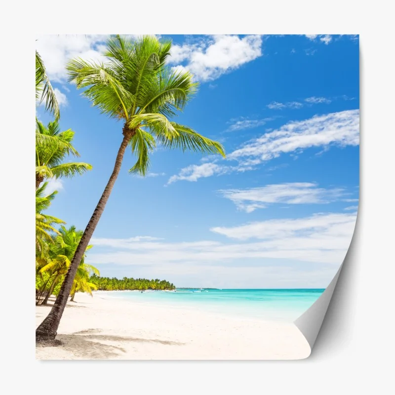 Repositionierbarer Aufkleber palmenstrand in Punta Cana