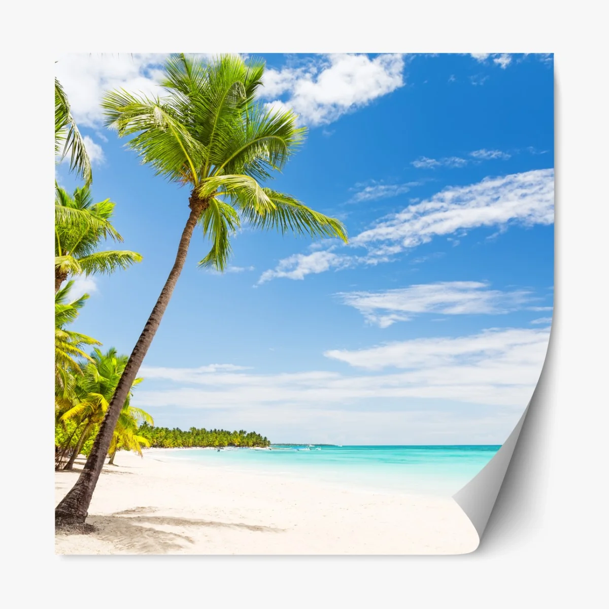 Repositionierbarer Aufkleber palmenstrand in Punta Cana – Wallnifity® Repositionierbarer Aufkleber palmenstrand in Punta Cana – Wallnifity®