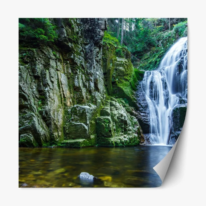 Repositionierbarer Aufkleber nebliger fichtenwald bei sonnenaufgang – Wallnifity®