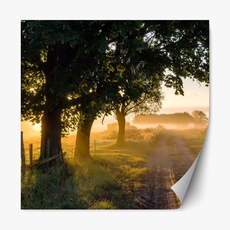 Repositionierbarer Aufkleber dunkelgrauer marmor mit goldenen adern – Wallnifity®