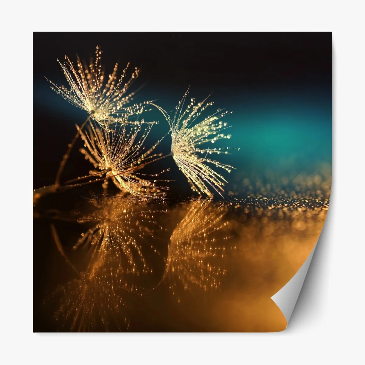 Repositionierbarer Aufkleber goldene reflexion von löwenzahnsamen – Wallnifity® Repositionierbarer Aufkleber goldene reflexion von löwenzahnsamen – Wallnifity®