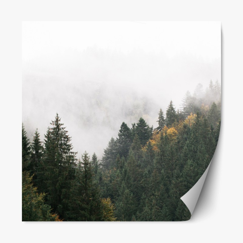 Repositionierbarer Aufkleber nebliger bergwald im dunst