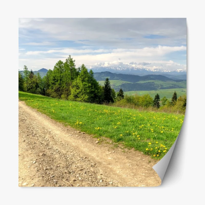 Repositionierbarer Aufkleber vintage korallenblumenmuster auf tiefgrünem hintergrund – Wallnifity®