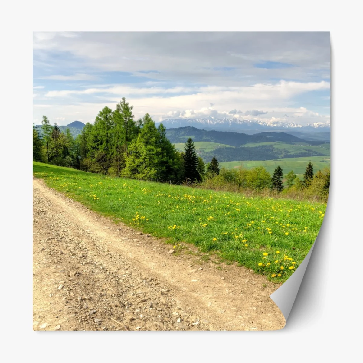 Repositionierbarer Aufkleber Gorce frühlingspfad – Wallnifity®