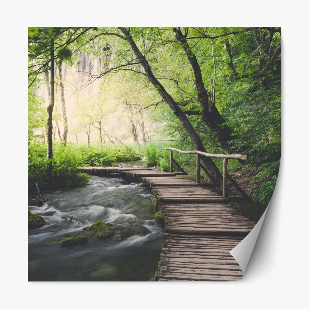 Repositionierbarer Aufkleber ruhiger hölzerner steg durch grünen wald – Wallnifity® Repositionierbarer Aufkleber ruhiger hölzerner steg durch grünen wald – Wallnifity®