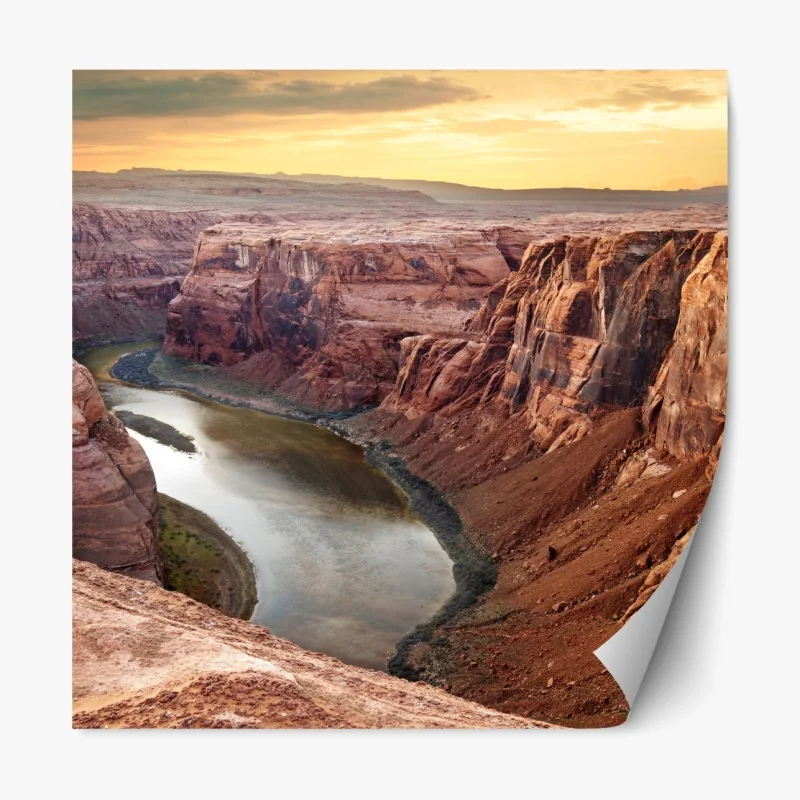 Repositionierbarer Aufkleber sonnenbeschienene wiese im abendlicht – Wallnifity®