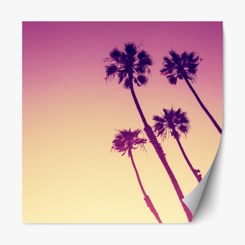 Repositionierbarer Aufkleber kalifornische palmen bei Sunset Cliffs