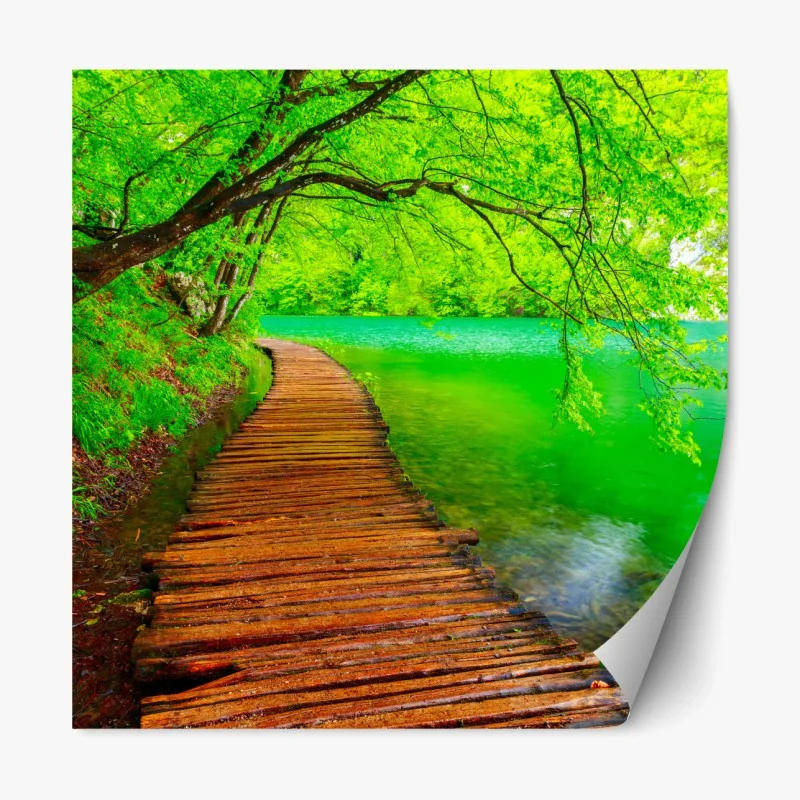 Repositionierbarer Aufkleber nebeliger nadelwald – Wallnifity®