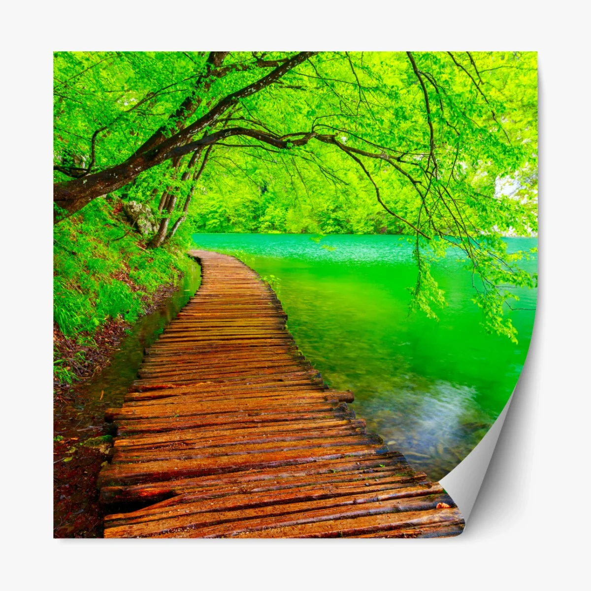 Repositionierbarer Aufkleber ruhiger grüner steg am see – Wallnifity® Repositionierbarer Aufkleber ruhiger grüner steg am see – Wallnifity®