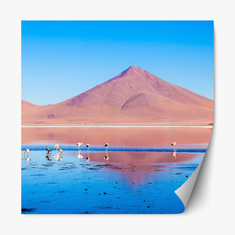 Repositionierbarer Aufkleber lebhaftes geometrisches blumenmuster – Wallnifity®