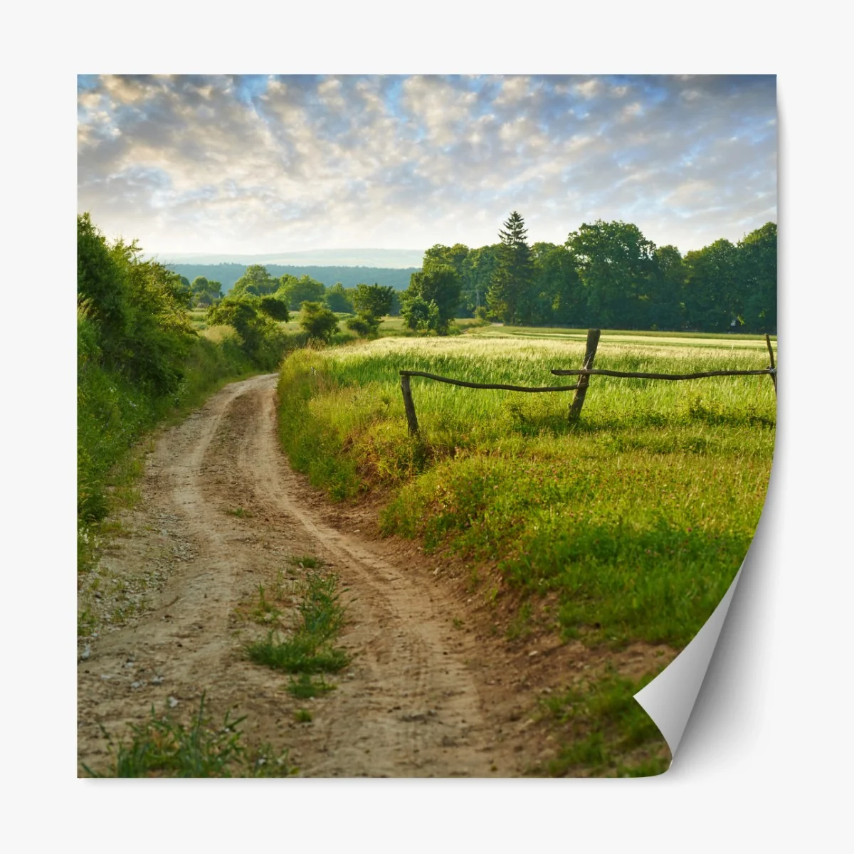 Repositionierbarer Aufkleber sonniger landweg durch grüne wiesen – Wallnifity® Repositionierbarer Aufkleber sonniger landweg durch grüne wiesen – Wallnifity®