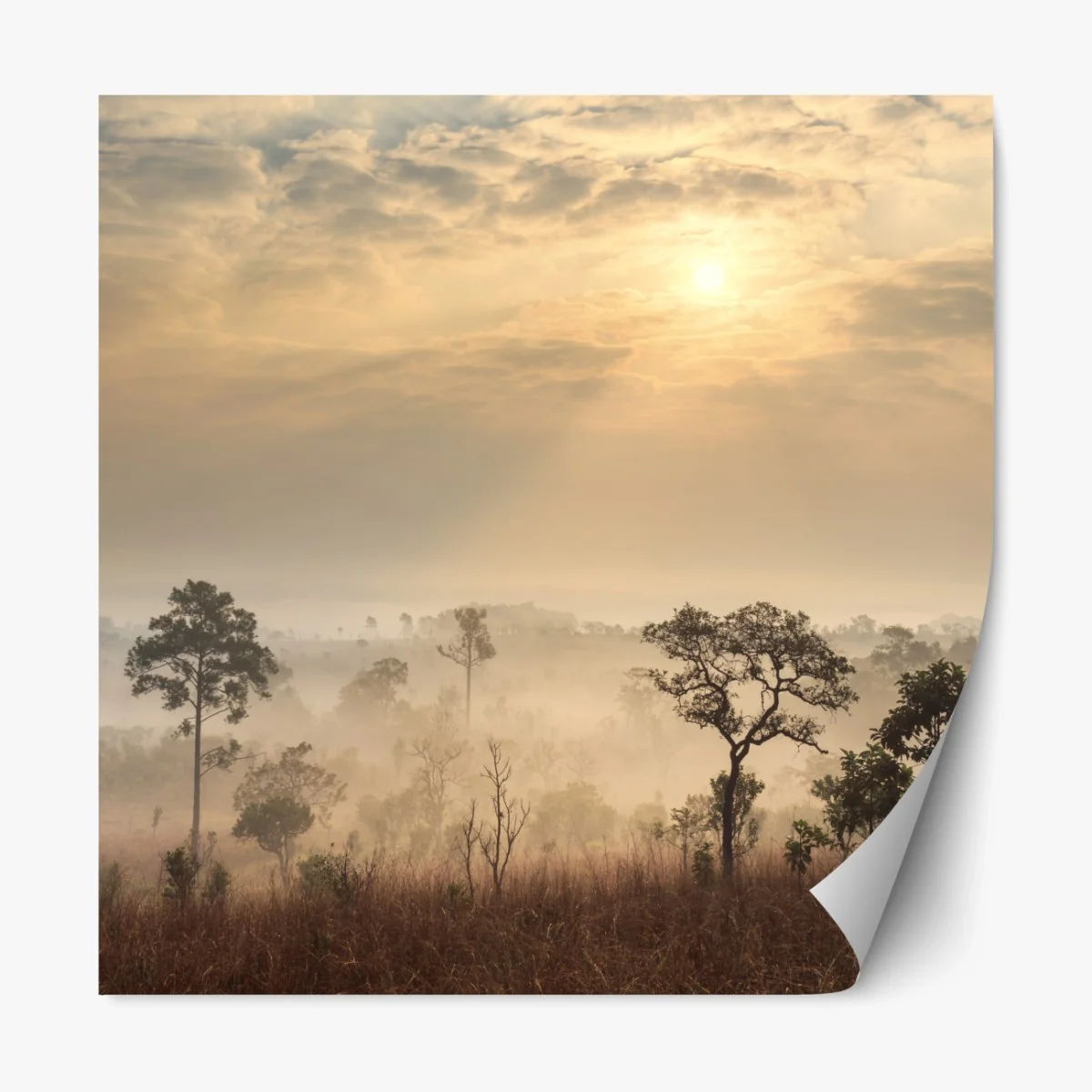 Repositionierbarer Aufkleber Thailand sawanne bei sonnenaufgang – Wallnifity®