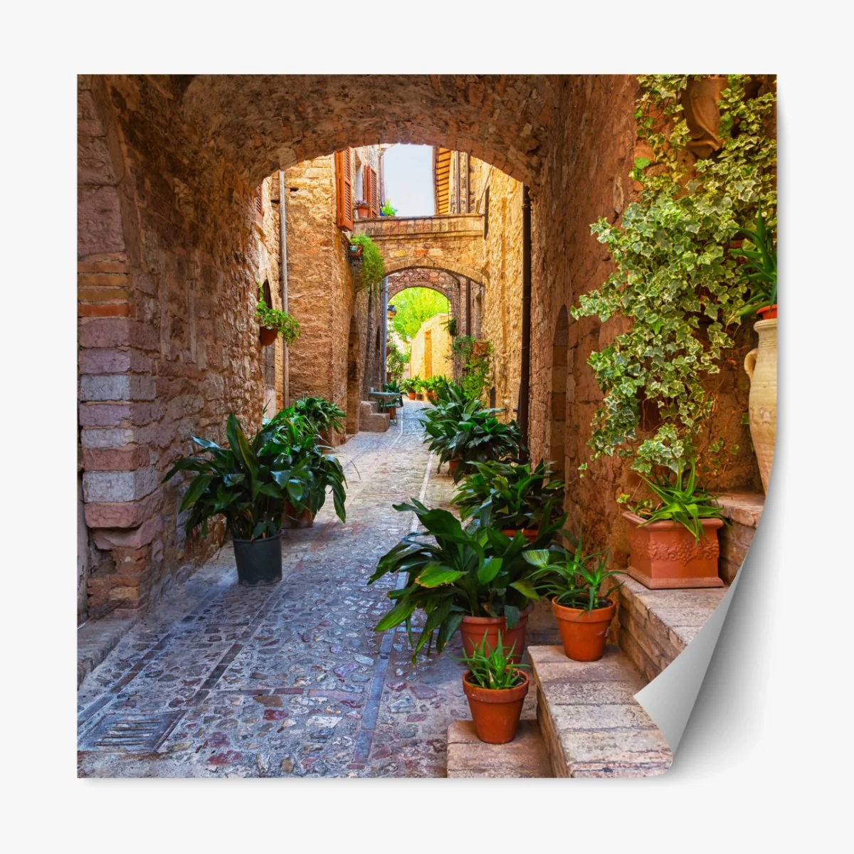 Repositionierbarer Aufkleber sonnige gasse mit blumentöpfen in Spello – Wallnifity® Repositionierbarer Aufkleber sonnige gasse mit blumentöpfen in Spello – Wallnifity®