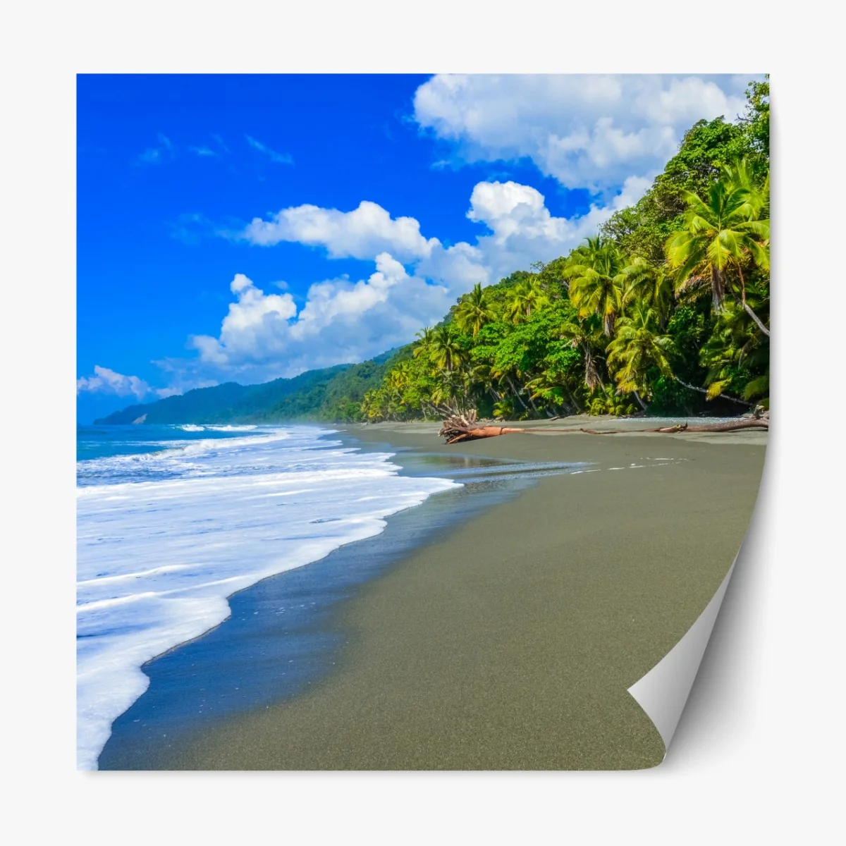 Repositionierbarer Aufkleber wilder strand bei Corcovado, Costa Rica – Wallnifity® Repositionierbarer Aufkleber wilder strand bei Corcovado, Costa Rica – Wallnifity®