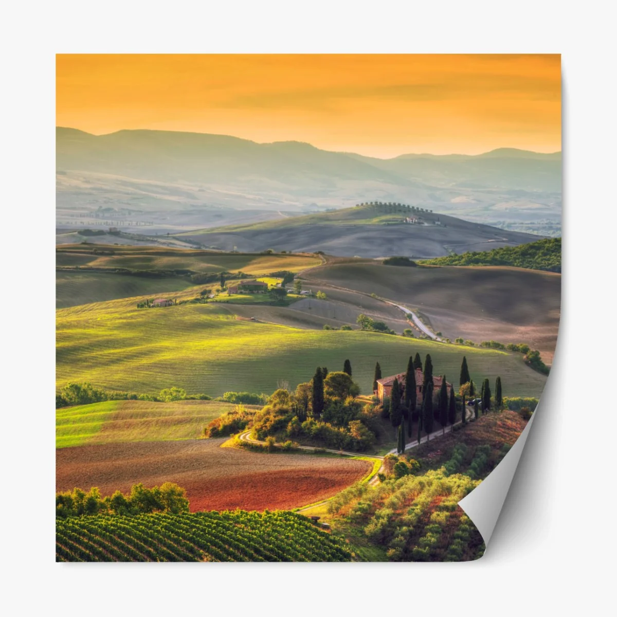 Repositionierbarer Aufkleber Toskana friedliche hügel im abendlicht – Wallnifity® Repositionierbarer Aufkleber Toskana friedliche hügel im abendlicht – Wallnifity®