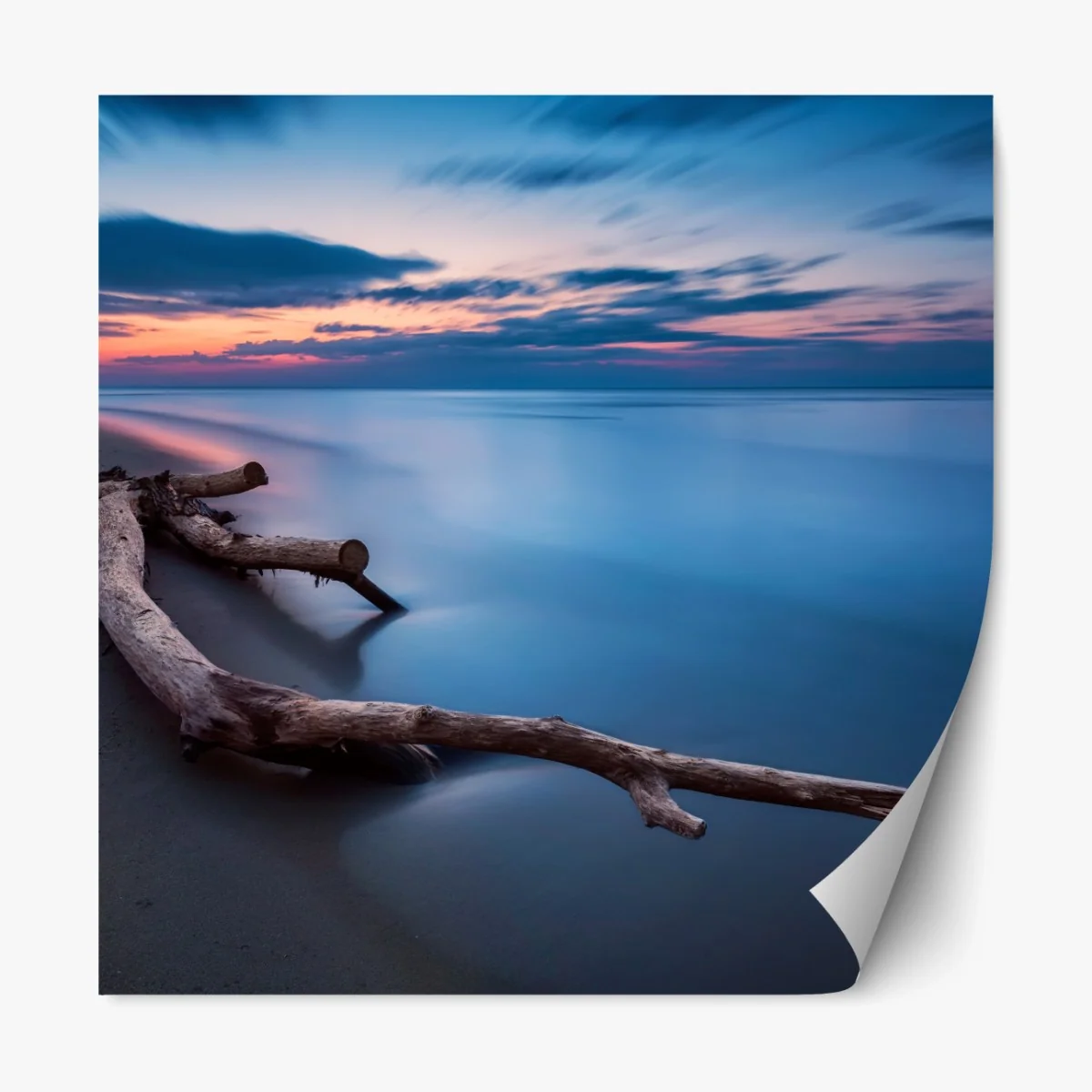 Repositionierbarer Aufkleber treibholz bei dämmerung am ruhigen strand – Wallnifity® Repositionierbarer Aufkleber treibholz bei dämmerung am ruhigen strand – Wallnifity®