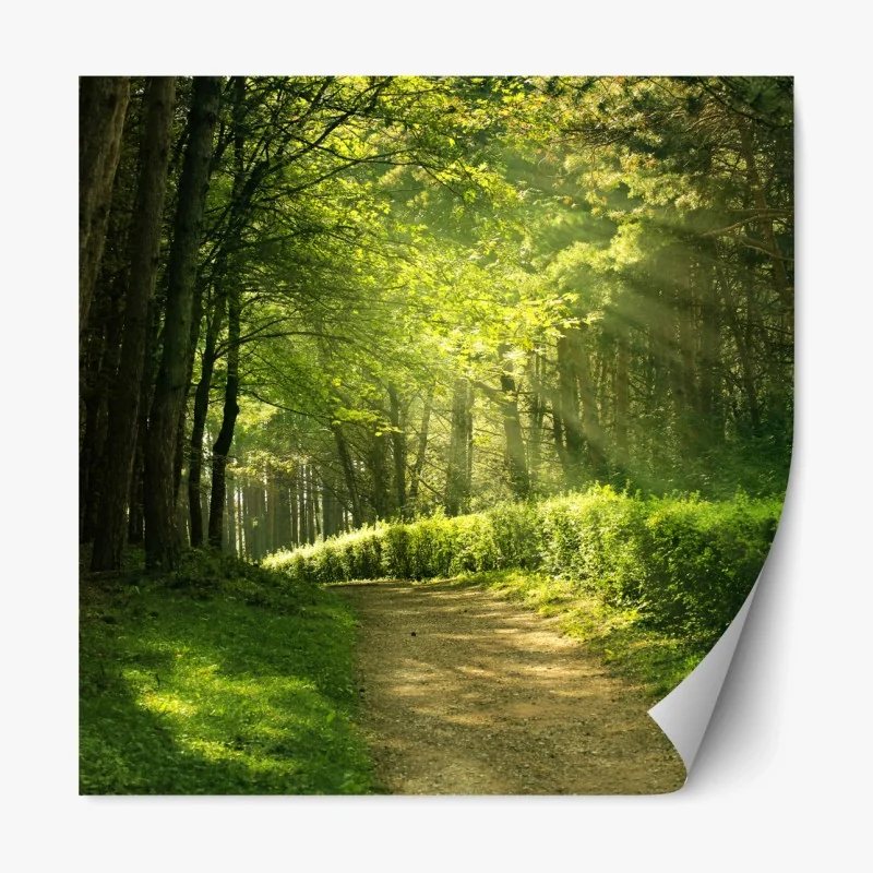 Repositionierbarer Aufkleber goldener sonnenuntergang über ruhigem see – Wallnifity®