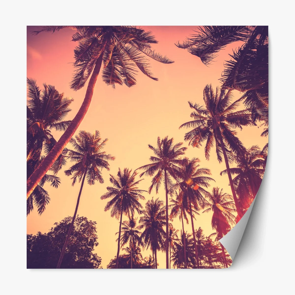 Repositionierbarer Aufkleber vintage tropischer sonnenuntergang mit palmen – Wallnifity® Repositionierbarer Aufkleber vintage tropischer sonnenuntergang mit palmen – Wallnifity®