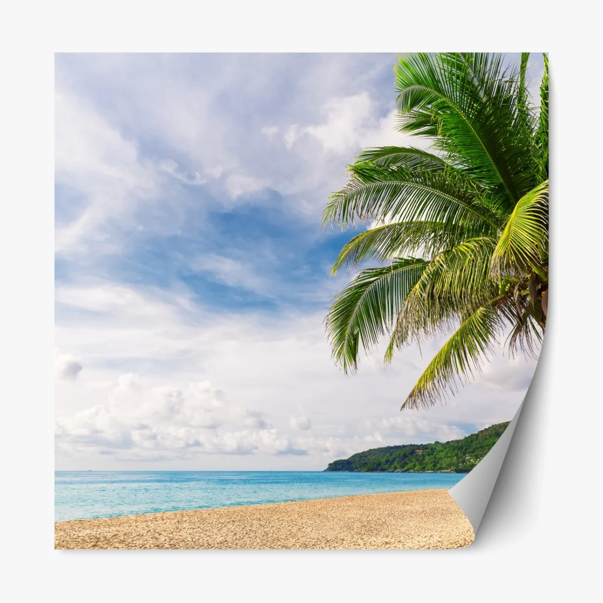 Repositionierbarer Aufkleber tropischer strand in Phuket mit palme – Wallnifity® Repositionierbarer Aufkleber tropischer strand in Phuket mit palme – Wallnifity®