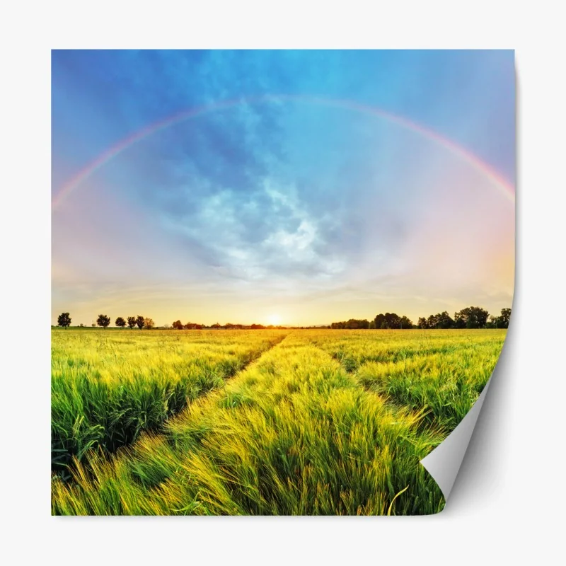 Repositionierbarer Aufkleber regenbogen über goldenem weizenfeld bei sonnenuntergang