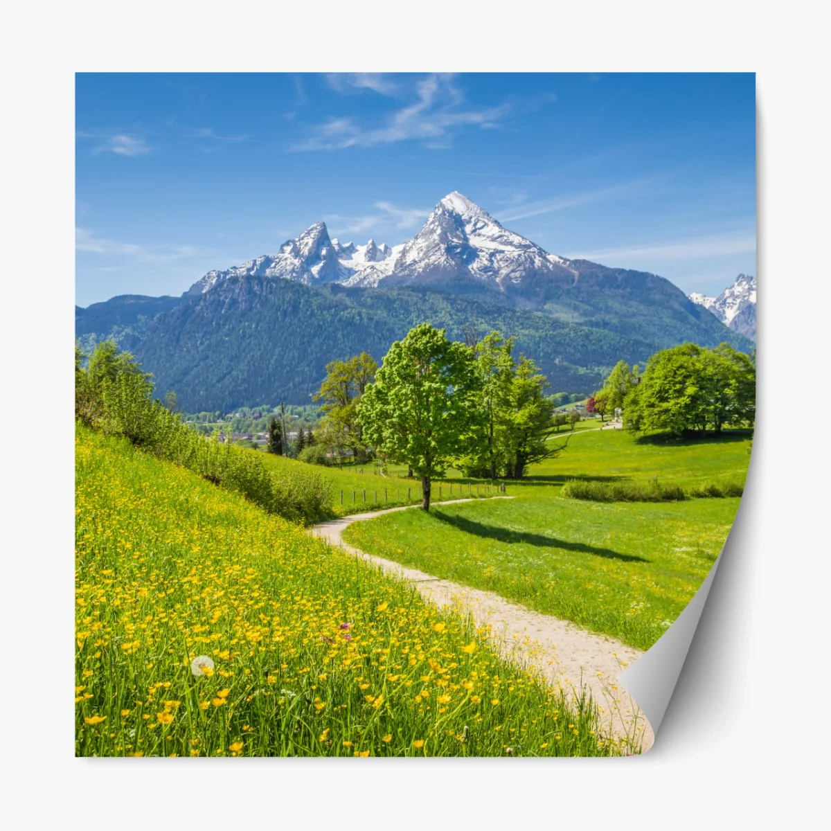 Repositionierbarer Aufkleber alpine frühlingswiese mit schneebedeckten gipfeln – Wallnifity® Repositionierbarer Aufkleber alpine frühlingswiese mit schneebedeckten gipfeln – Wallnifity®