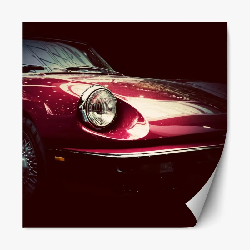 Repositionierbarer Aufkleber morgendliche eiche auf sonnenbeschienener wiese – Wallnifity®