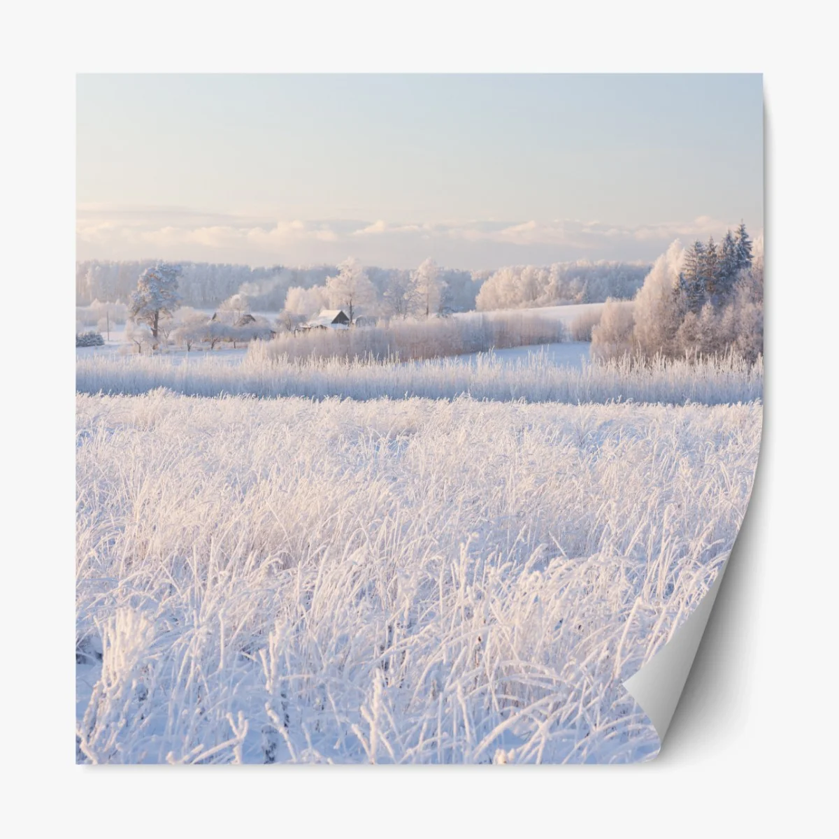 Repositionierbarer Aufkleber wiese mit reif im morgenlicht – Wallnifity® Repositionierbarer Aufkleber wiese mit reif im morgenlicht – Wallnifity®