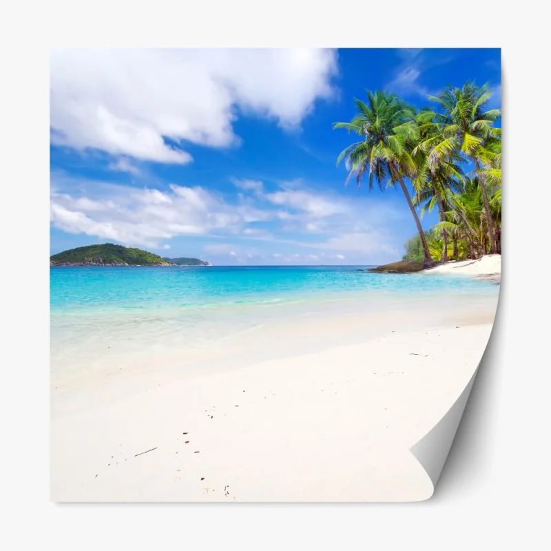 Repositionierbarer Aufkleber schwarzweißes schlagzeug nahaufnahme – Wallnifity®