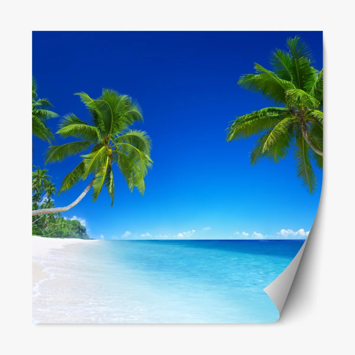 Repositionierbarer Aufkleber tropischer strand mit palmen – Wallnifity® Repositionierbarer Aufkleber tropischer strand mit palmen – Wallnifity®