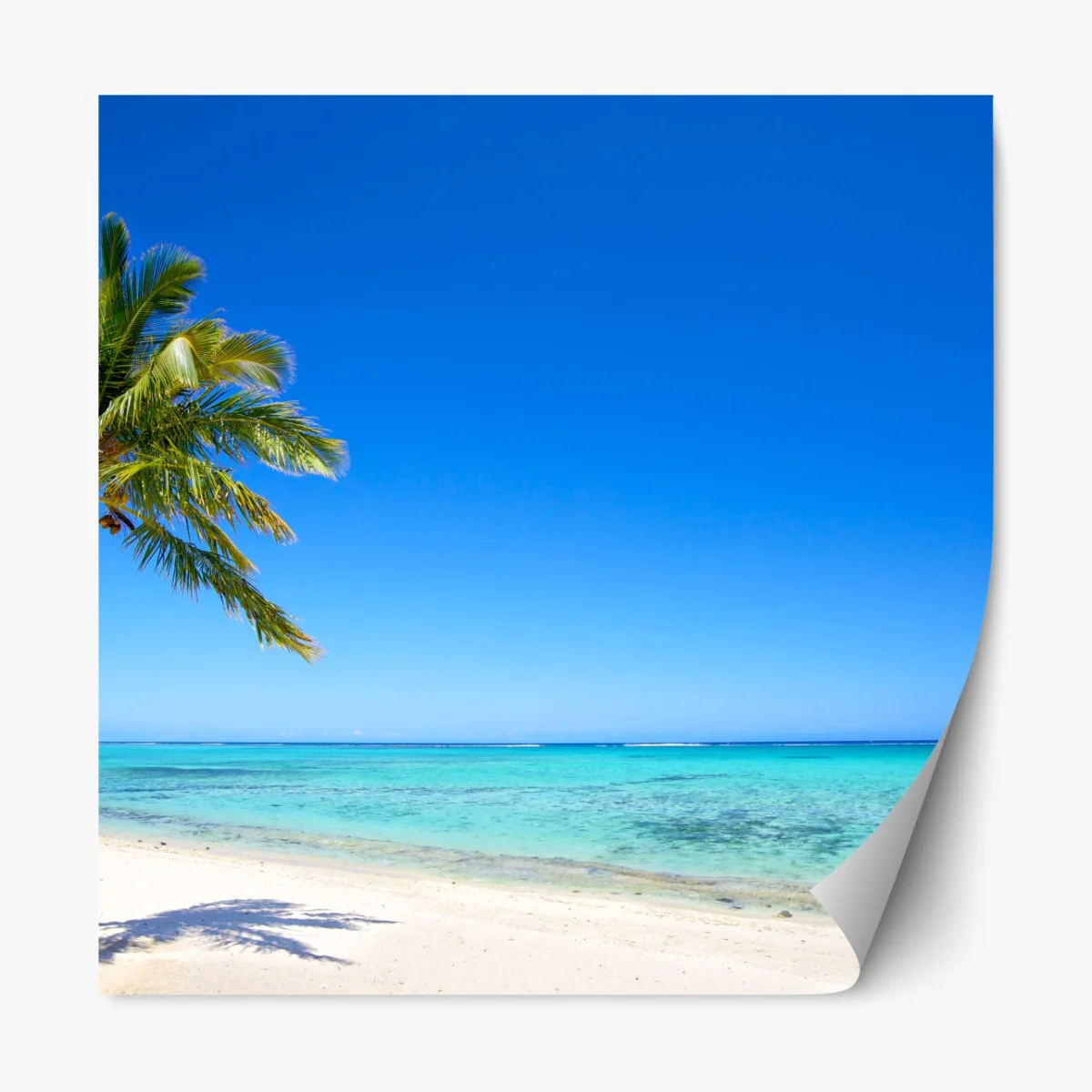 Repositionierbarer Aufkleber tropischer traumstrand mit palme – Wallnifity® Repositionierbarer Aufkleber tropischer traumstrand mit palme – Wallnifity®