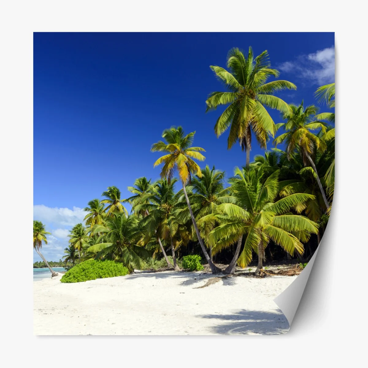Repositionierbarer Aufkleber ruhiger tropischer strand in Punta Cana – Wallnifity®