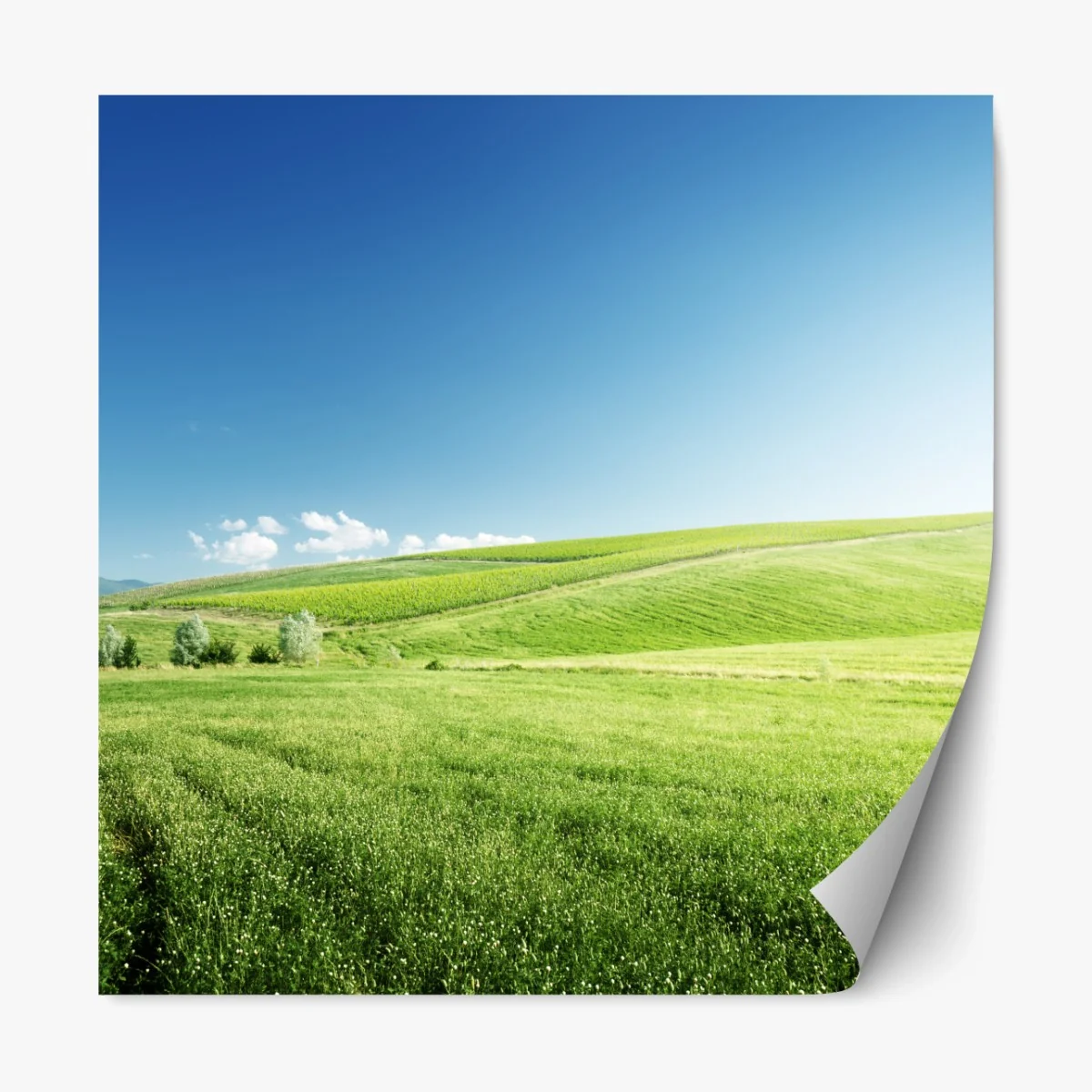 Repositionierbarer Aufkleber ruhige grüne wiesenlandschaft – Wallnifity® Repositionierbarer Aufkleber ruhige grüne wiesenlandschaft – Wallnifity®