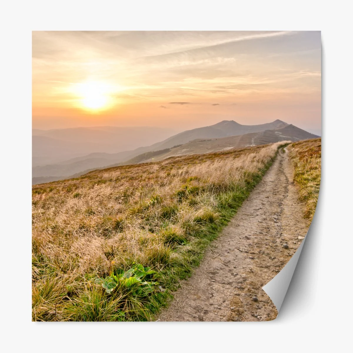 Repositionierbarer Aufkleber wanderpfad bei sonnenuntergang in Bieszczady – Wallnifity® Repositionierbarer Aufkleber wanderpfad bei sonnenuntergang in Bieszczady – Wallnifity®