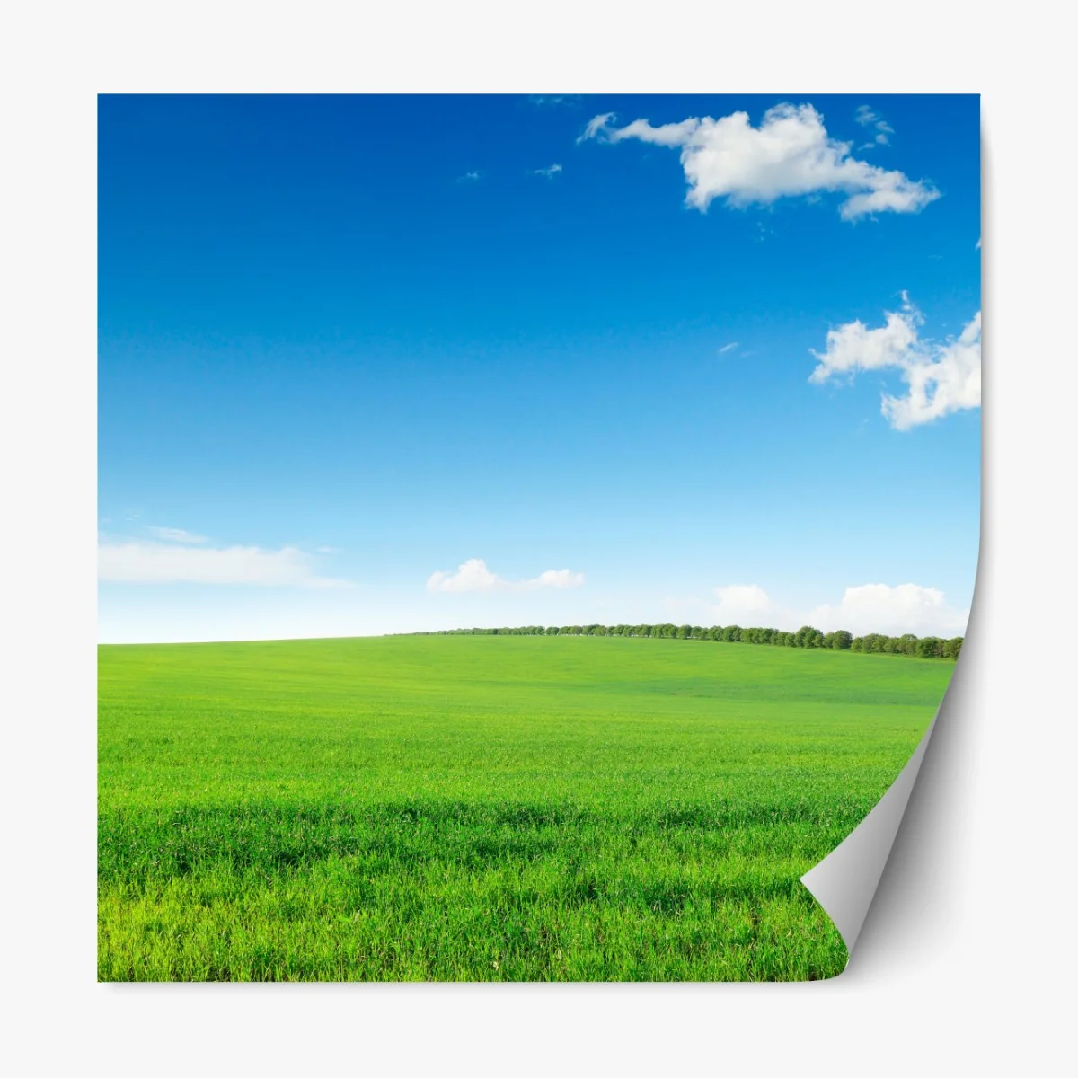 Repositionierbarer Aufkleber ruhige grüne wiese unter blauem himmel – Wallnifity®