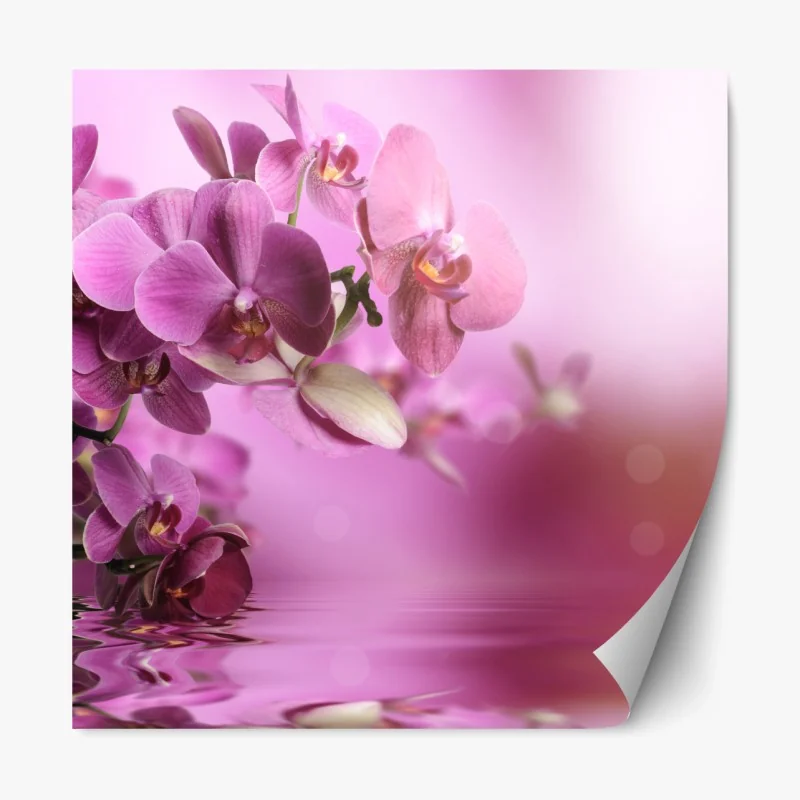 Repositionierbarer Aufkleber rosa orchideen spiegelung