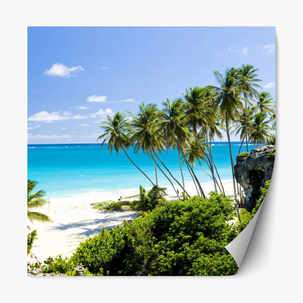 Repositionierbarer Aufkleber Bottom Bay palmenstrand, Barbados – Wallnifity® Repositionierbarer Aufkleber Bottom Bay palmenstrand, Barbados – Wallnifity®