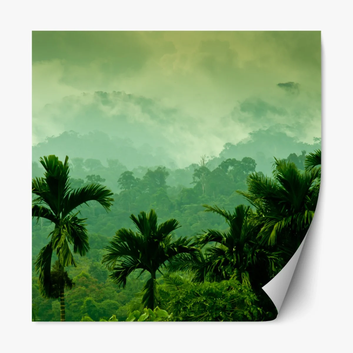 Repositionierbarer Aufkleber neblige tropische dschungellandschaft – Wallnifity® Repositionierbarer Aufkleber neblige tropische dschungellandschaft – Wallnifity®