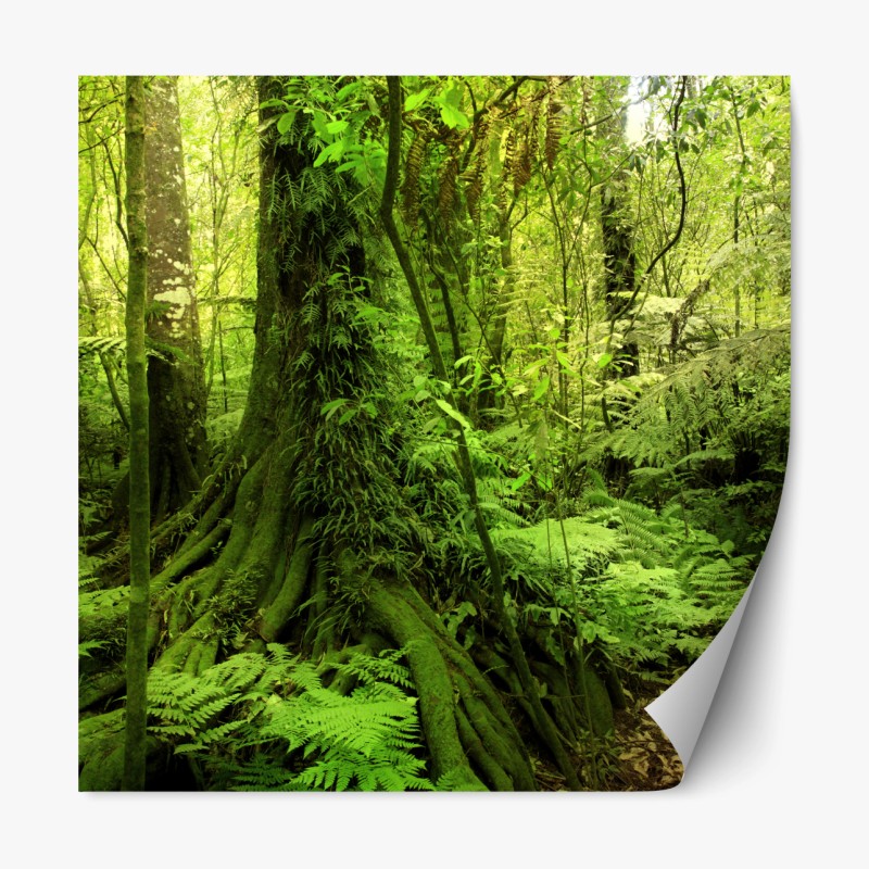 Repositionierbarer Aufkleber goldenes sonnenuntergangspanorama am strand mit Tafelberg – Wallnifity®