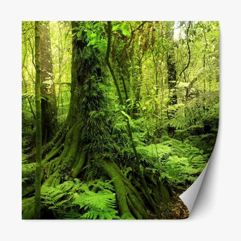 Repositionierbarer Aufkleber hölzerner steg im sonnenaufgang – Wallnifity®