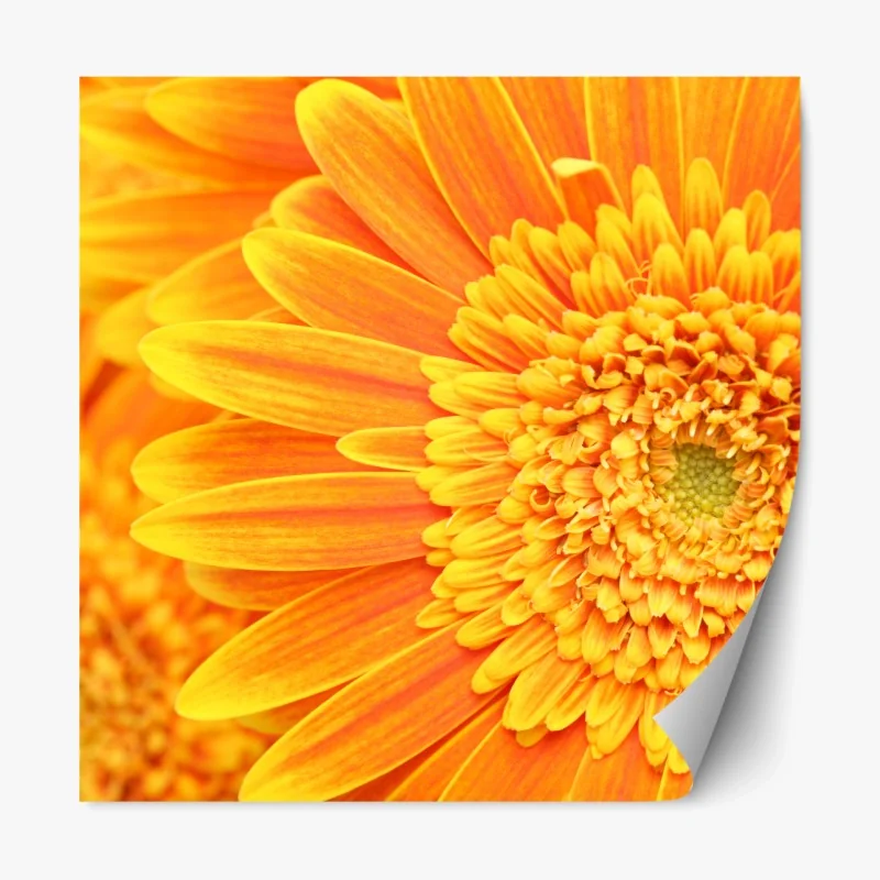 Repositionierbarer Aufkleber Antelope Canyon sandsteinwellen – Wallnifity®