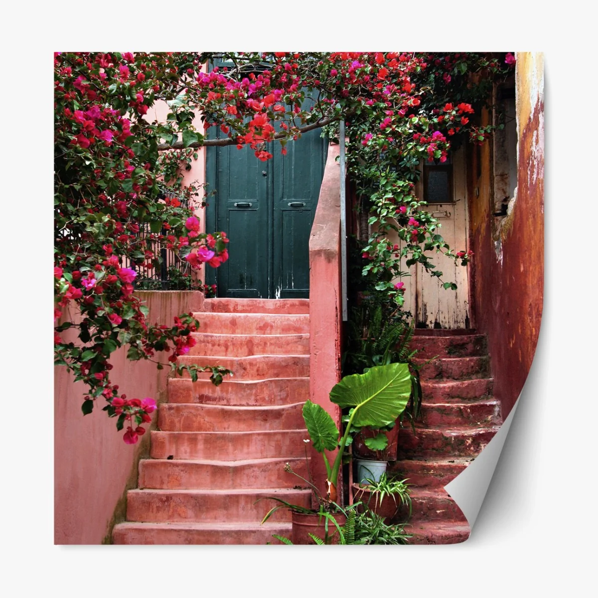 Repositionierbarer Aufkleber treppe mit bougainvillea und grünen pflanzen – Wallnifity® Repositionierbarer Aufkleber treppe mit bougainvillea und grünen pflanzen – Wallnifity®