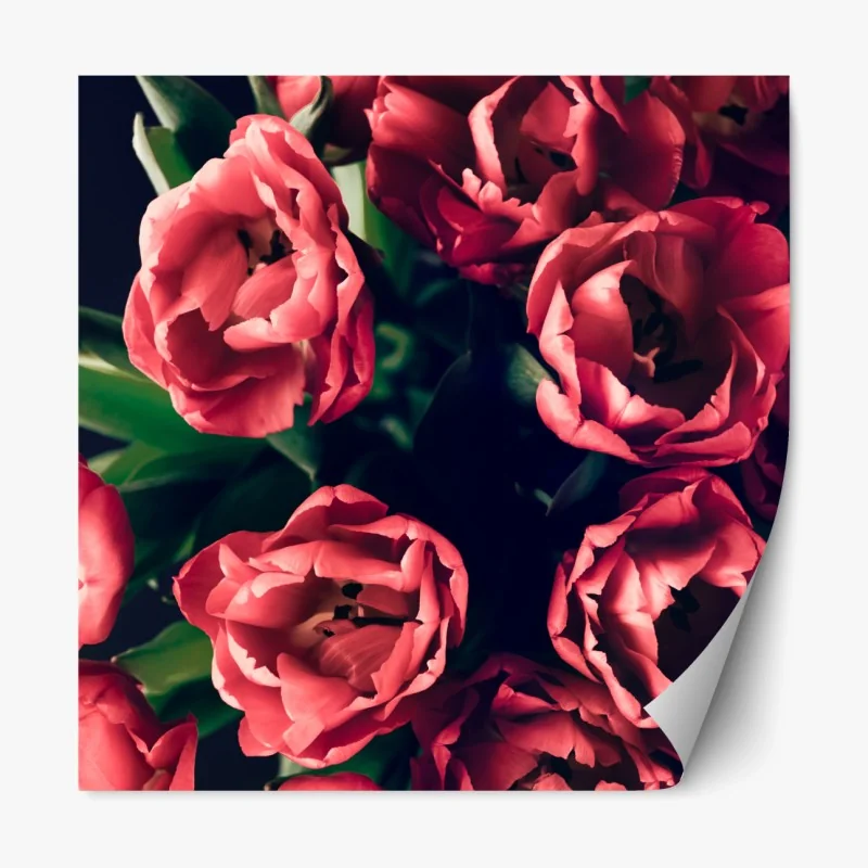 Repositionierbarer Aufkleber waldweg durch neblige kiefern – Wallnifity®