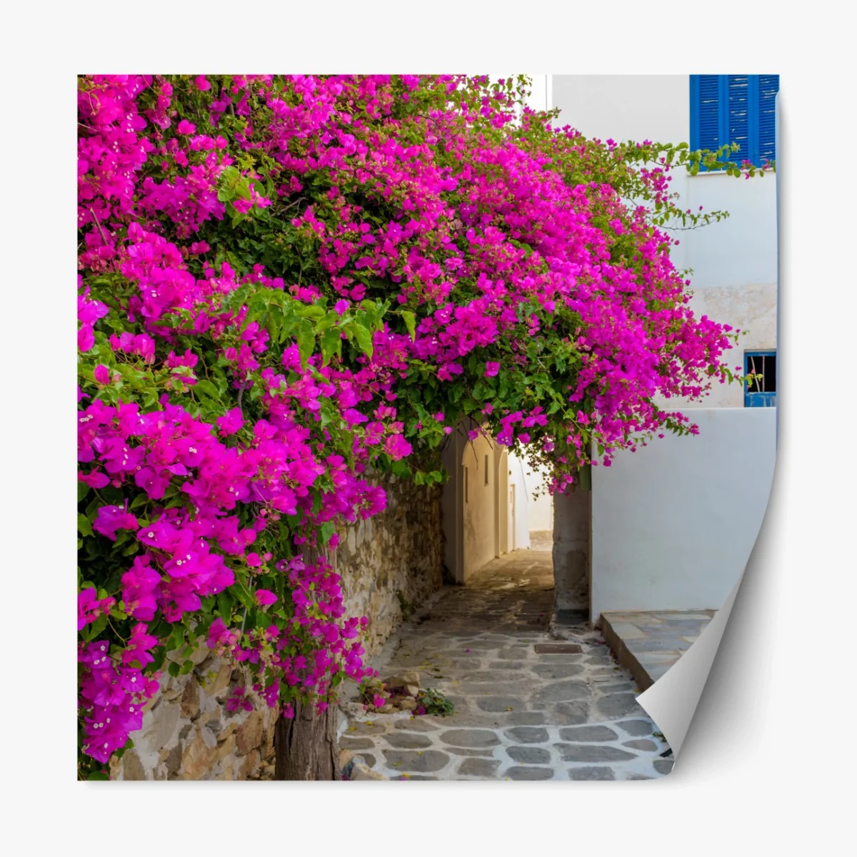 Repositionierbarer Aufkleber blühende bougainvillea in Naousa gasse – Wallnifity® Repositionierbarer Aufkleber blühende bougainvillea in Naousa gasse – Wallnifity®