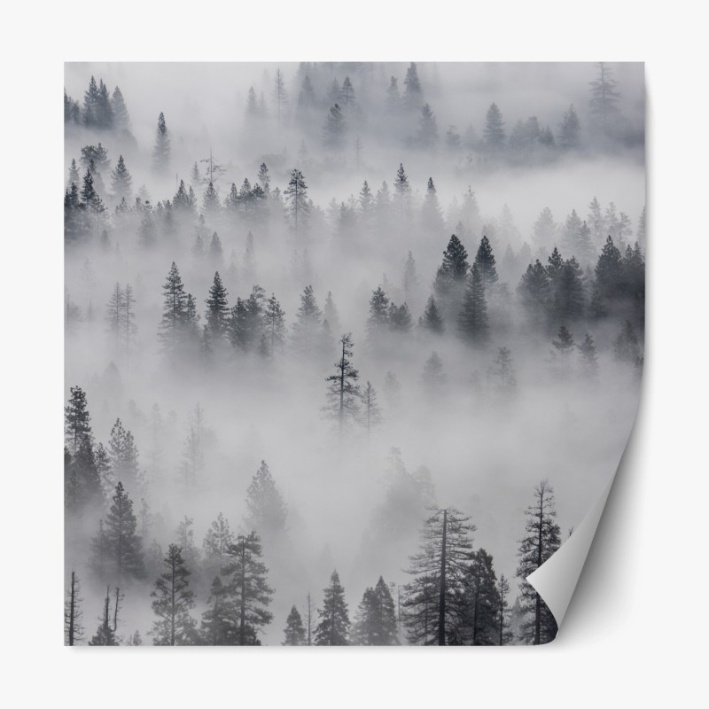 Repositionierbarer Aufkleber verspieltes abstraktes botanikmuster – Wallnifity®