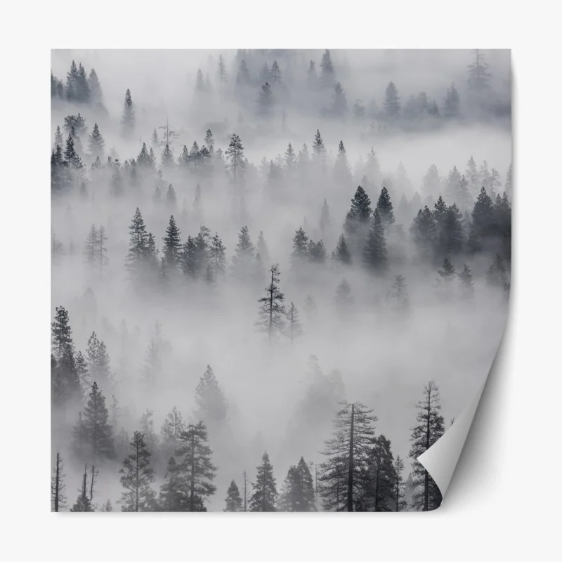 Repositionierbarer Aufkleber nebeliger kiefernwald