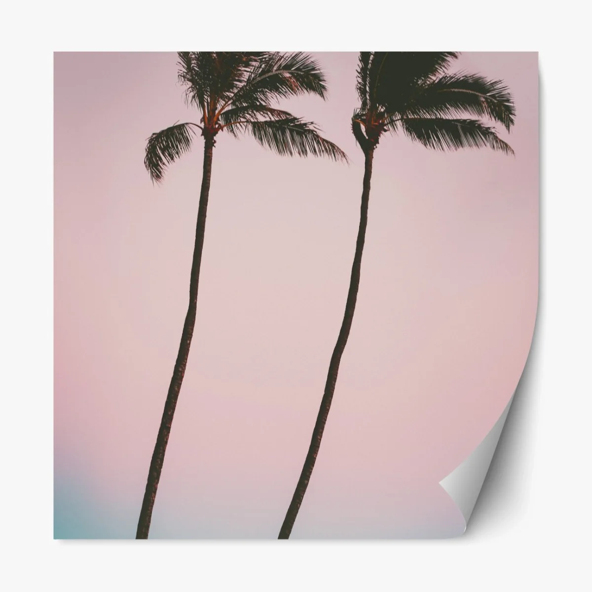 Repositionierbarer Aufkleber pastellpalmen bei dämmerung – Wallnifity® Repositionierbarer Aufkleber pastellpalmen bei dämmerung – Wallnifity®
